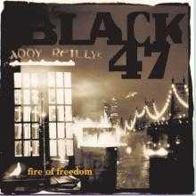 Fire Of Freedom album cover